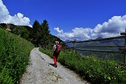 Monte Due Mani (1656 m) dalla Culmine S. Pietro il 7 giugno 2016 con...temporalone di vetta ! - FOTOGALLERY 